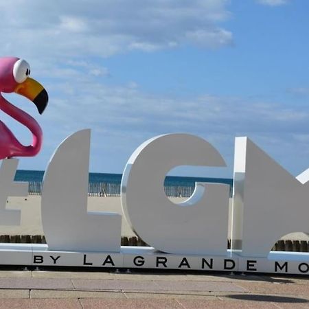 Superbe Studio Au Calme A 8Mn De La Plage La Grande-Motte Buitenkant foto